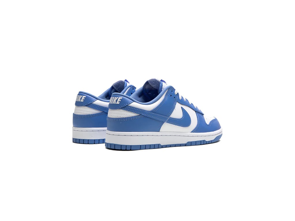 Nike Dunk Low Polar Blue