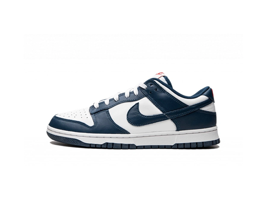 Nike Dunk Low Valerian Blue