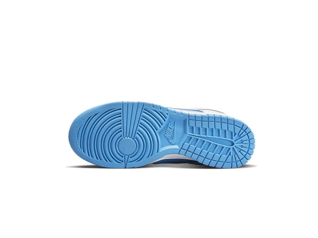 Nike Dunk Low Reverse UNC (W)