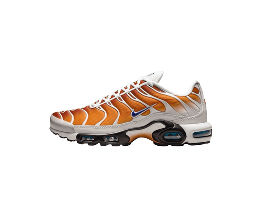 Nike Air Max Plus One Block Down Chutney 