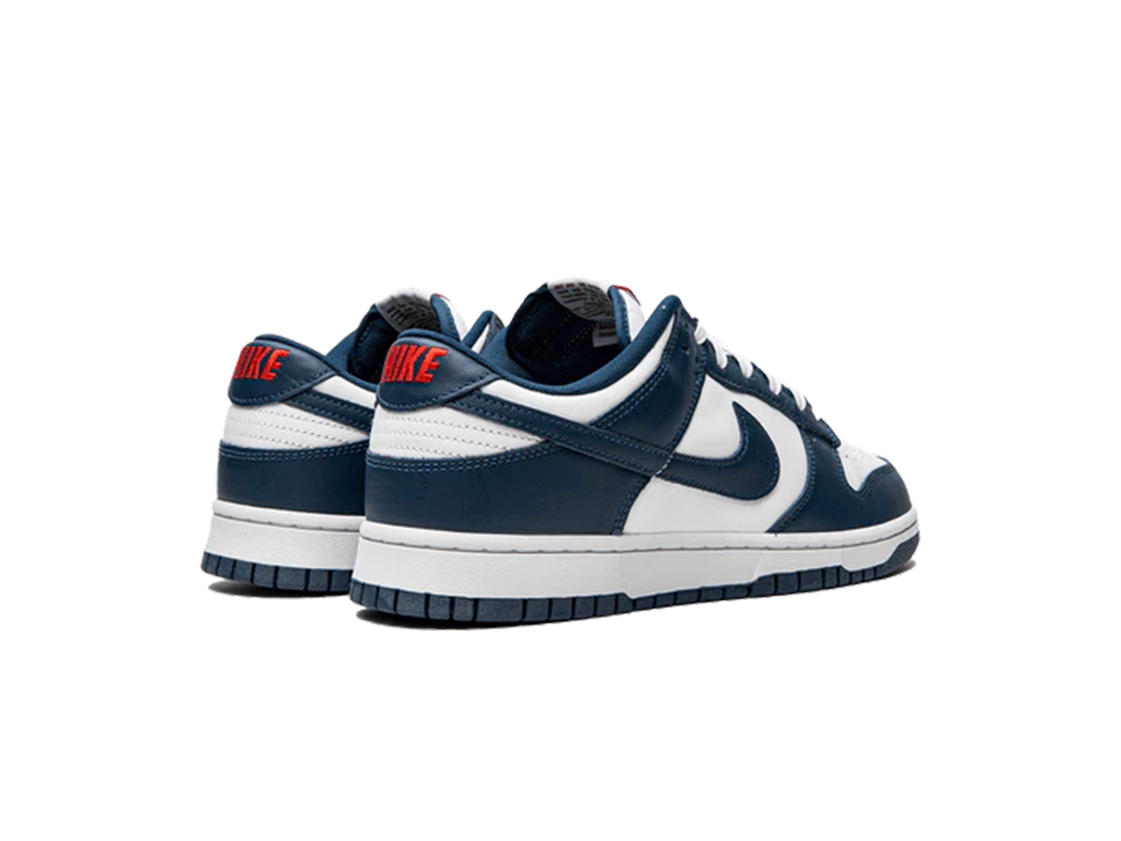 Nike Dunk Low Valerian Blue