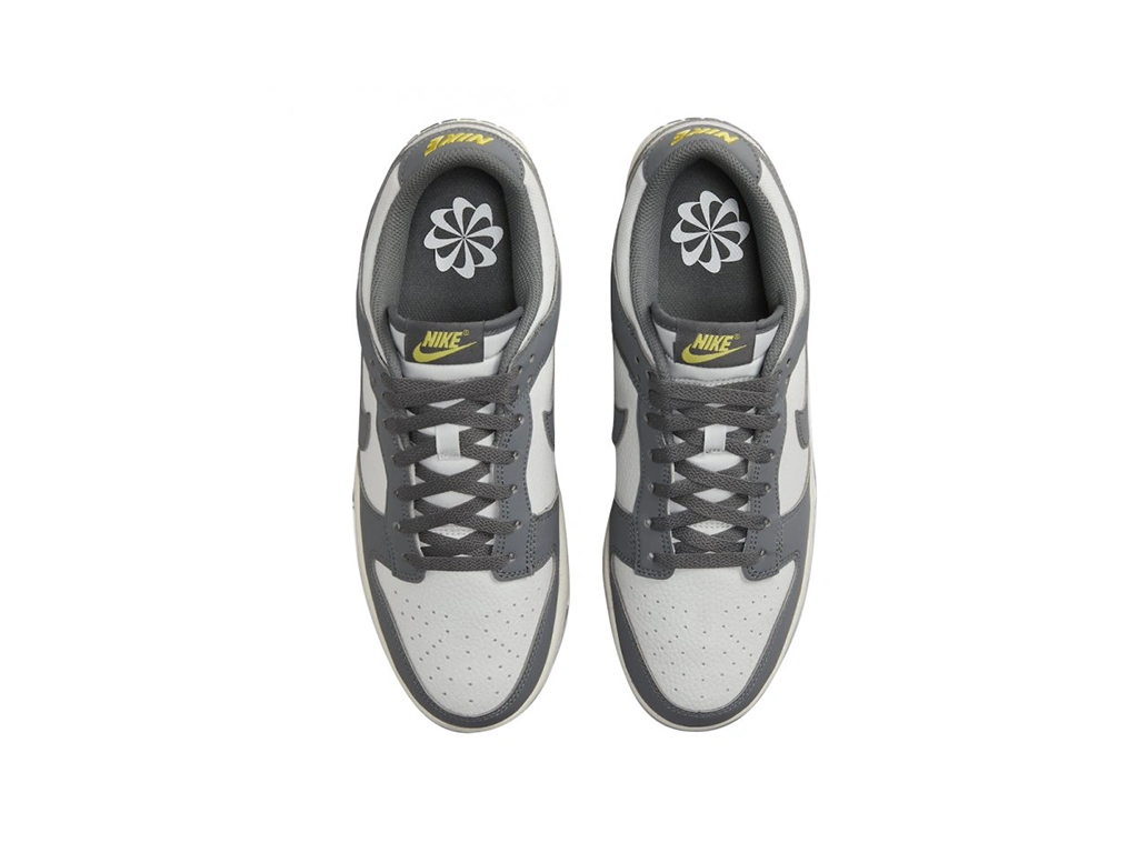 Nike Dunk Low Next Nature Iron Grey Lightning