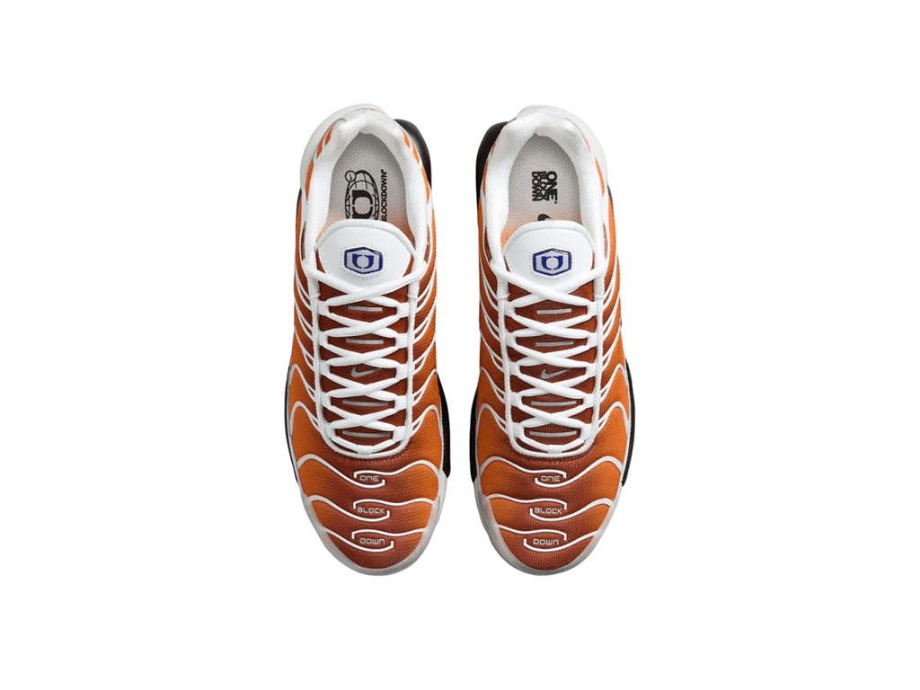 Nike Air Max Plus One Block Down Chutney