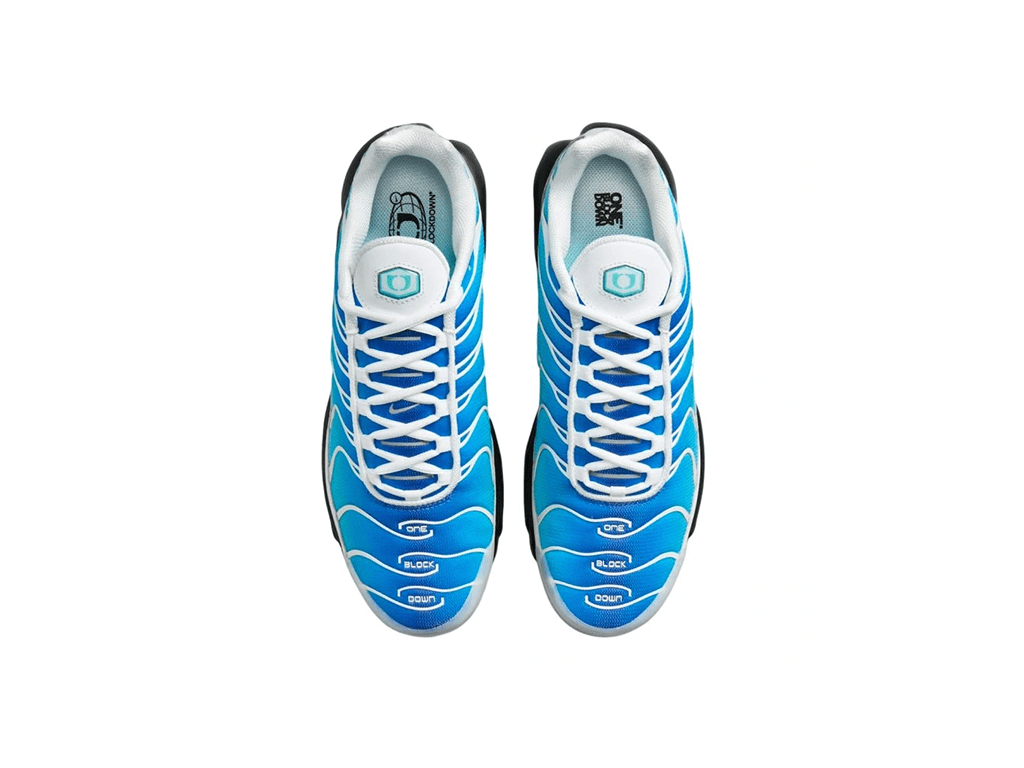 Nike Air Max Plus One Block Down Light Photo Blue