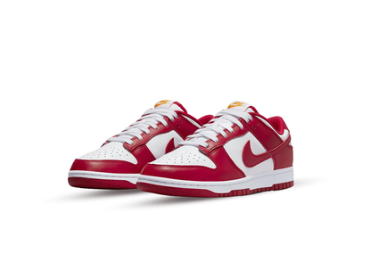 Nike Dunk Low USC