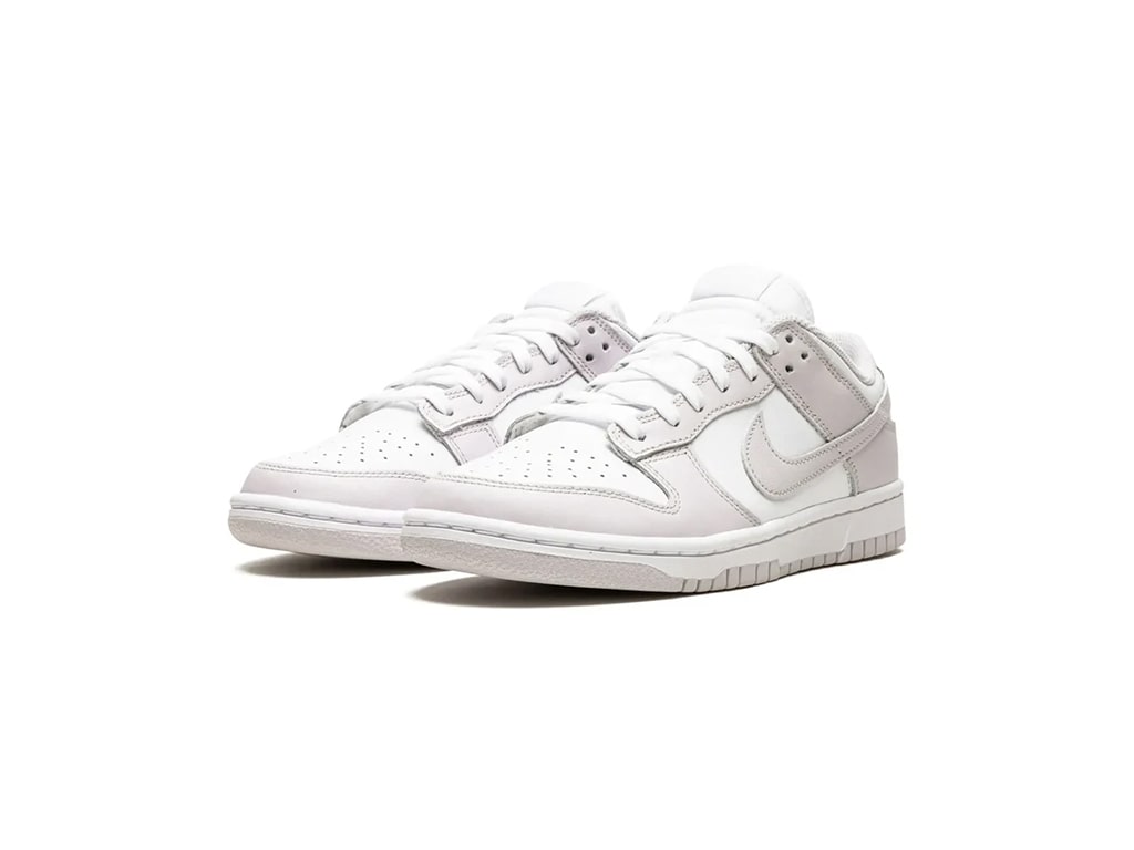 Nike Dunk Low Venice (Womens)