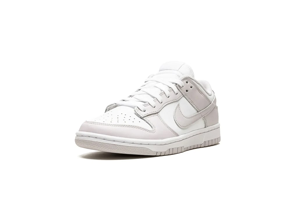 Nike Dunk Low Venice (Womens)