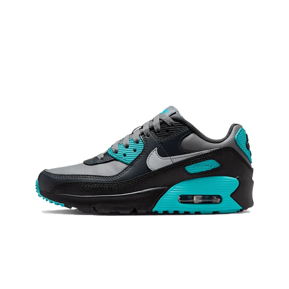 Nike Air Max 90 LTR Cool Grey Dusty Cactus Black Wolf Grey (GS) – hlavní pohled | Purekickz