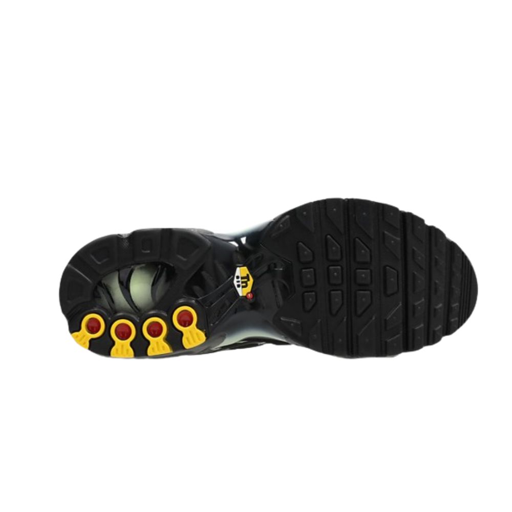 Nike Air Max Plus Iron Grey Light Liquid Lime Black (GS)