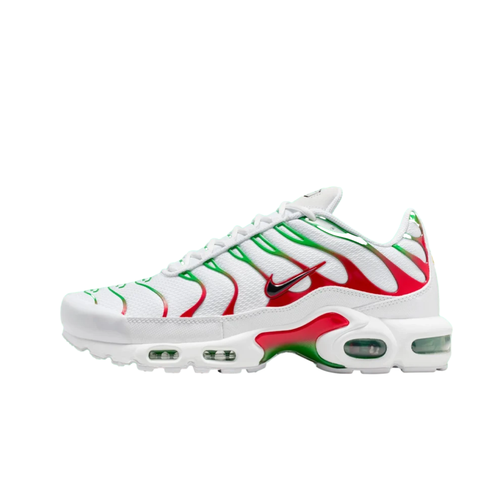 Nike Air Max Plus Italy
