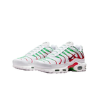 Nike Air Max Plus Italy
