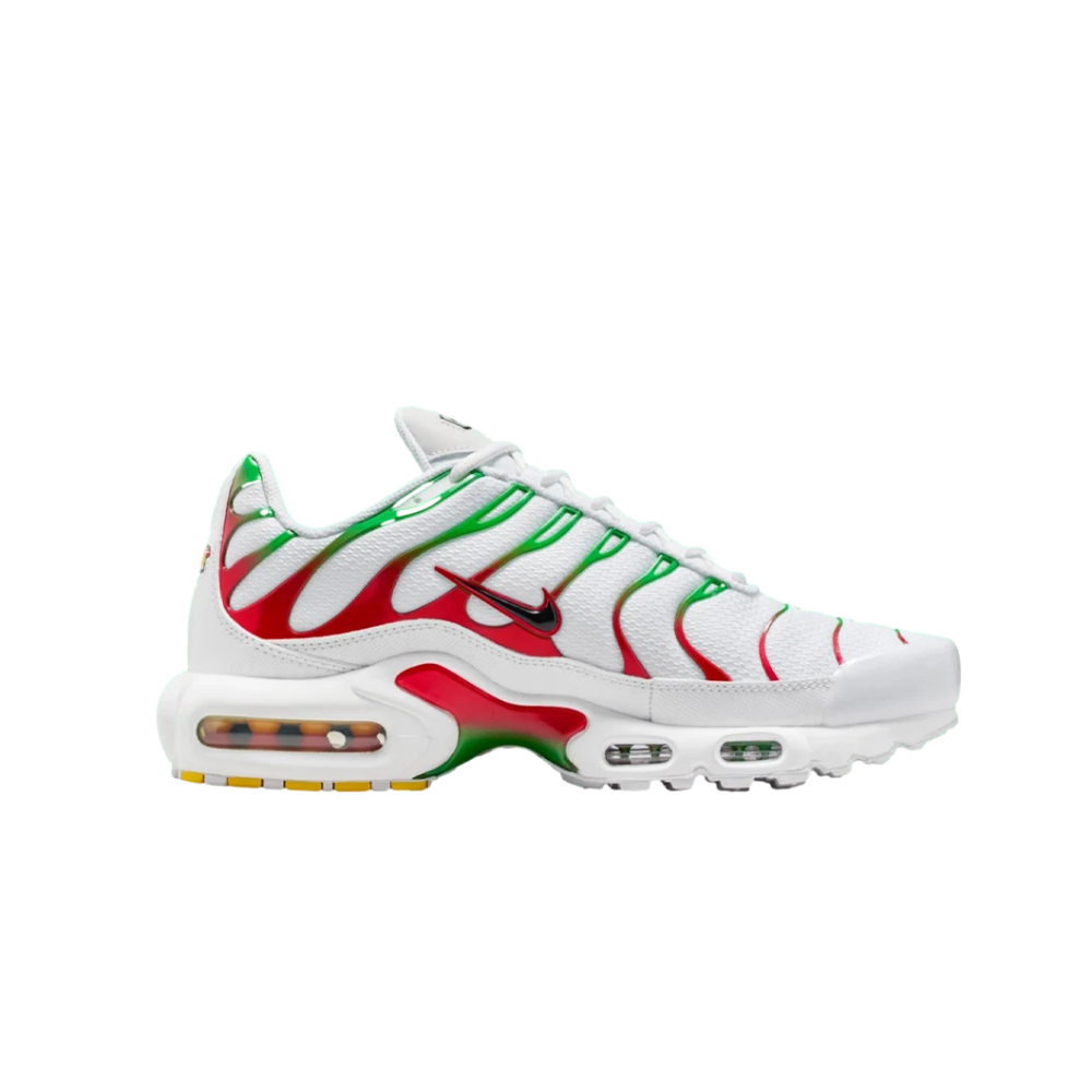 Nike Air Max Plus Italy
