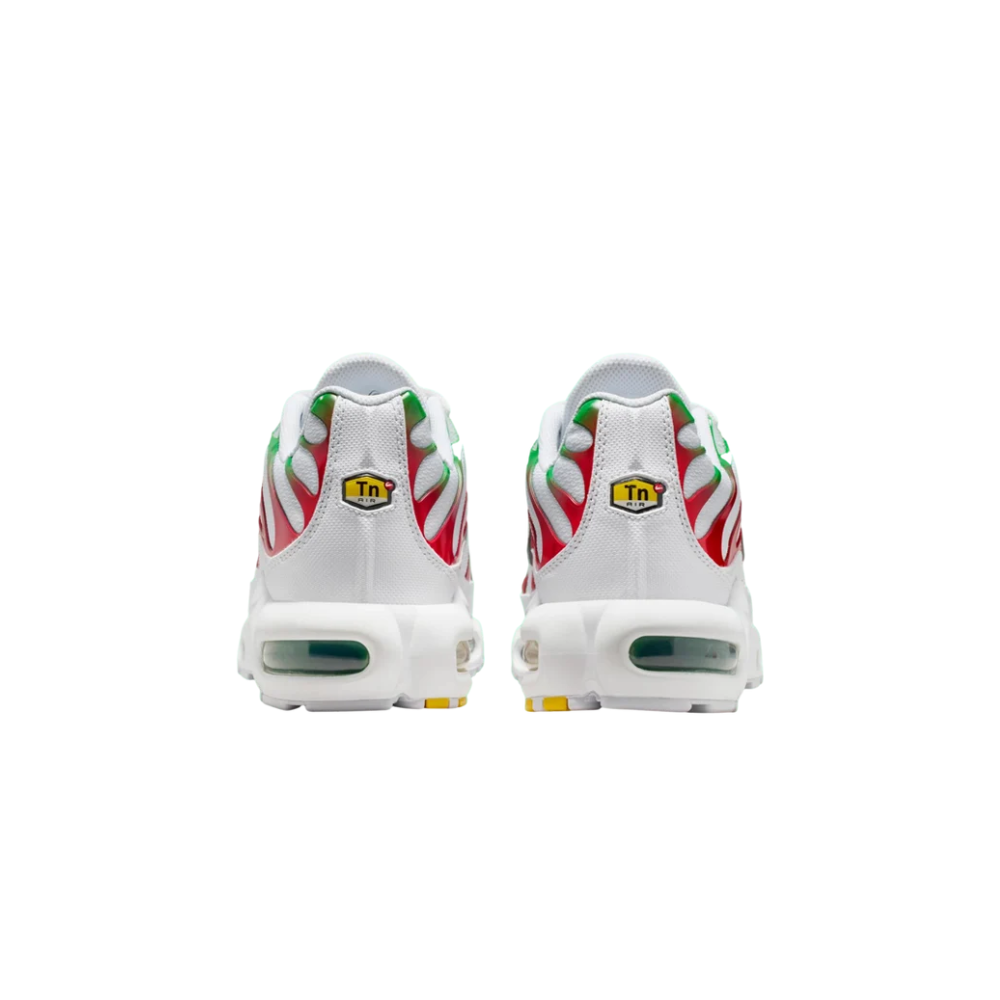 Nike Air Max Plus Italy