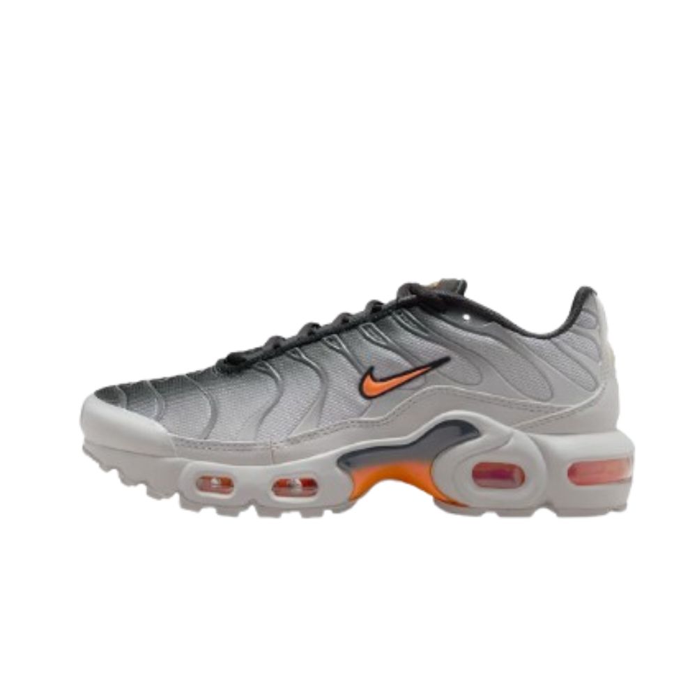 Nike Air Max Plus Light Smoke Grey
