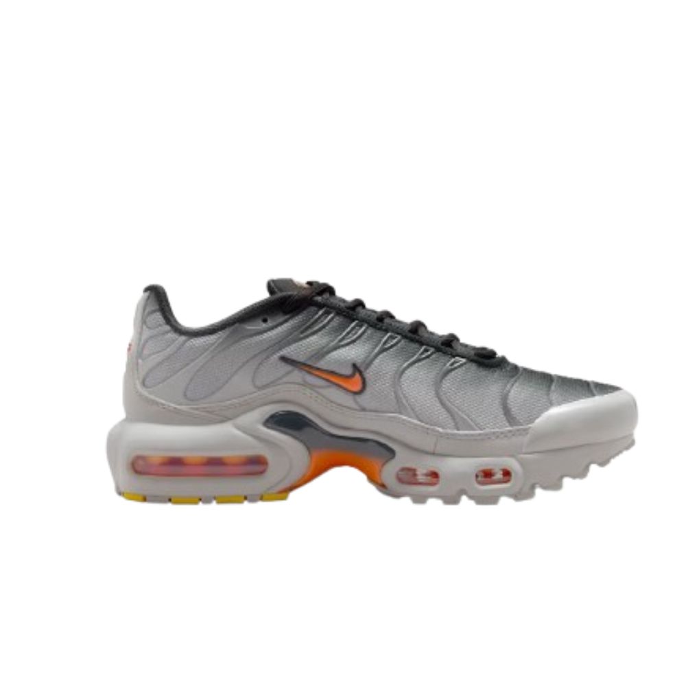 Nike Air Max Plus Light Smoke Grey