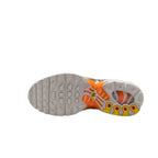 Nike Air Max Plus Light Smoke Grey