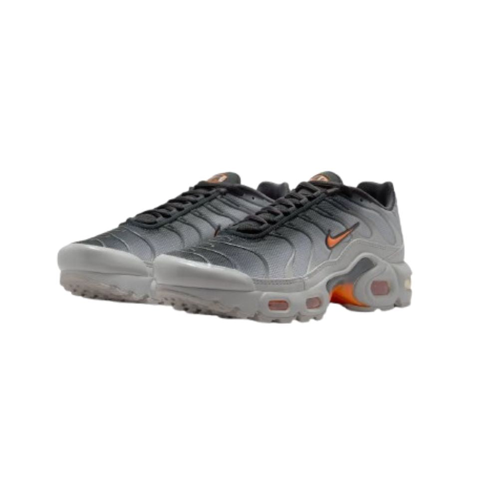 Nike Air Max Plus Light Smoke Grey