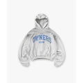 Represent Owners Club Hoodie Sprayed Ice Grey Marl – hlavní pohled | Purekickz