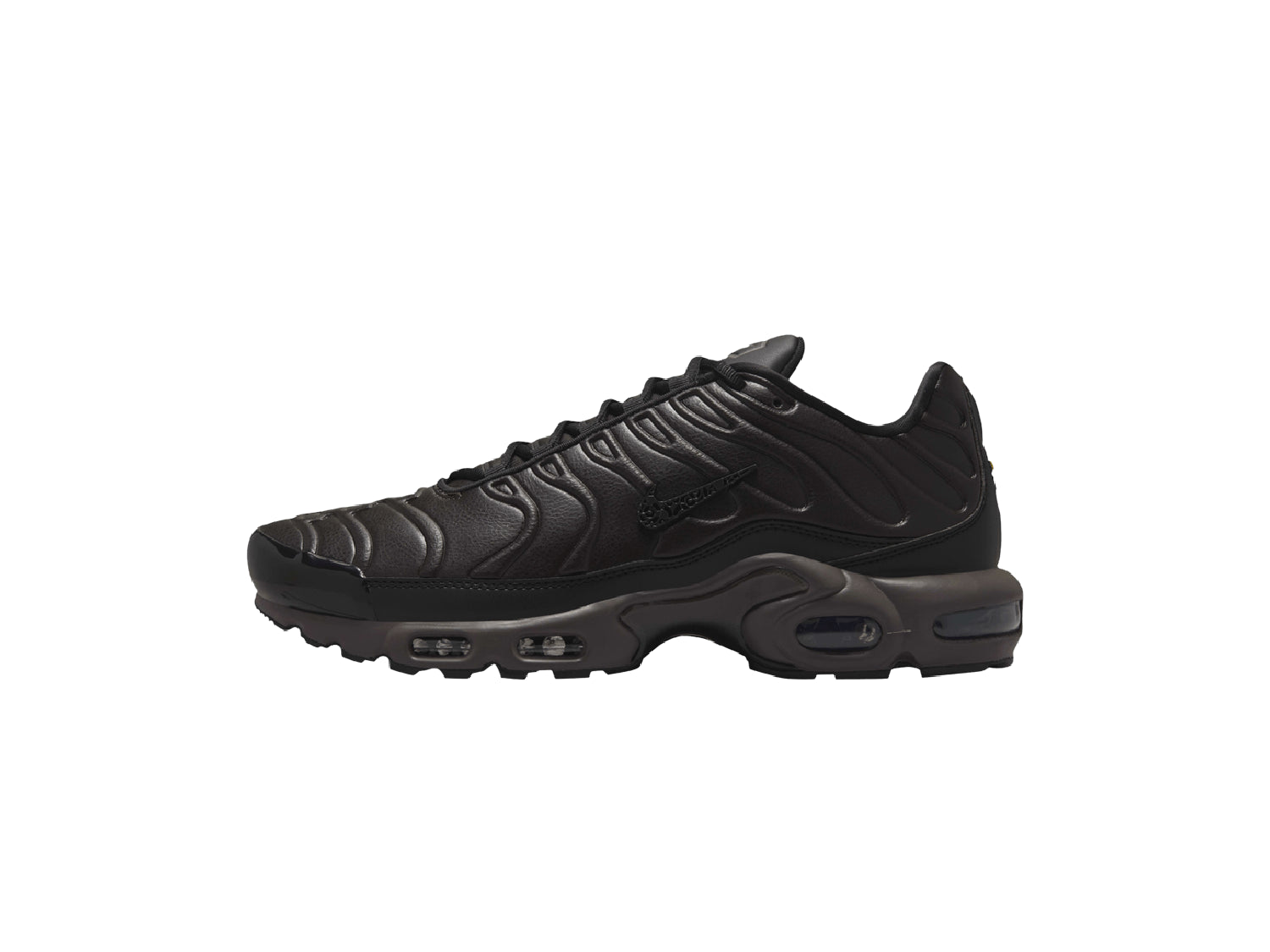 Nike Air Max Plus Premium Paris