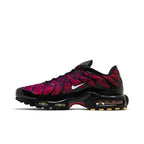 Nike Air Max Plus 25th Anniversary – hlavní pohled | Purekickz
