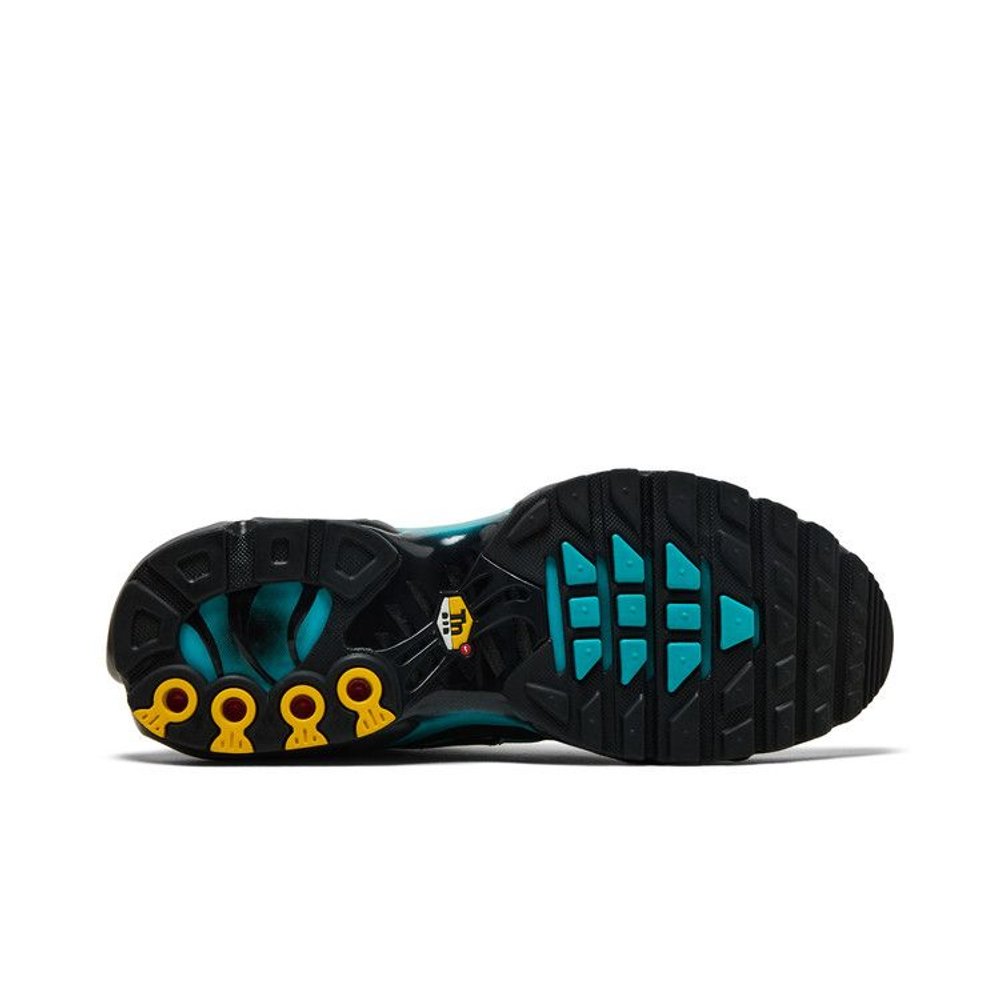 Nike Air Max Plus Black Dusty Cactus – zadní pohled | Purekickz