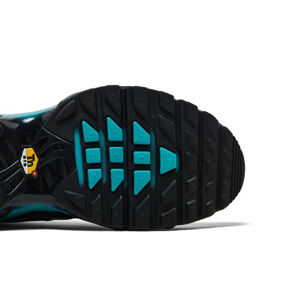 Nike Air Max Plus Black Dusty Cactus – pohled shora | Purekickz