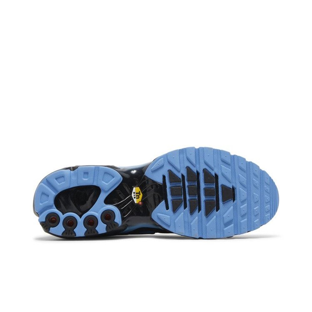 Nike Air Max Plus Black University Blue – zadní pohled | Purekickz