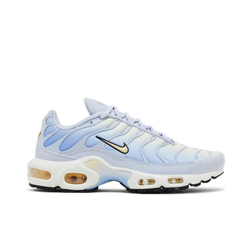 Nike Air Max Plus Daybreak (W)