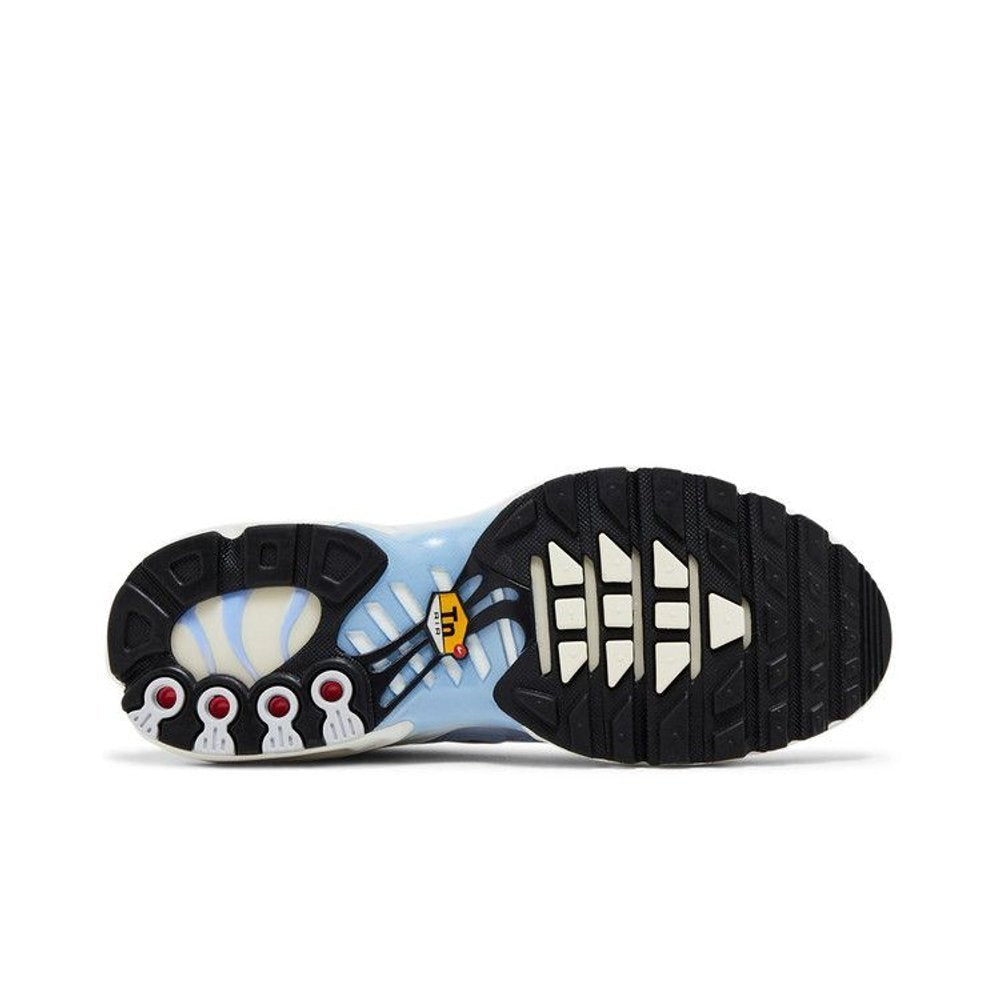 Nike Air Max Plus Daybreak (W)