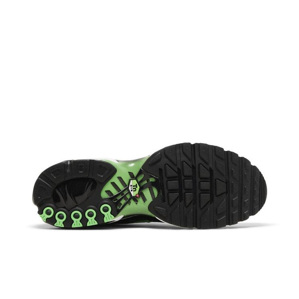 Nike Air Max Plus Icons Deep Royal Scream Green – zadní pohled | Purekickz