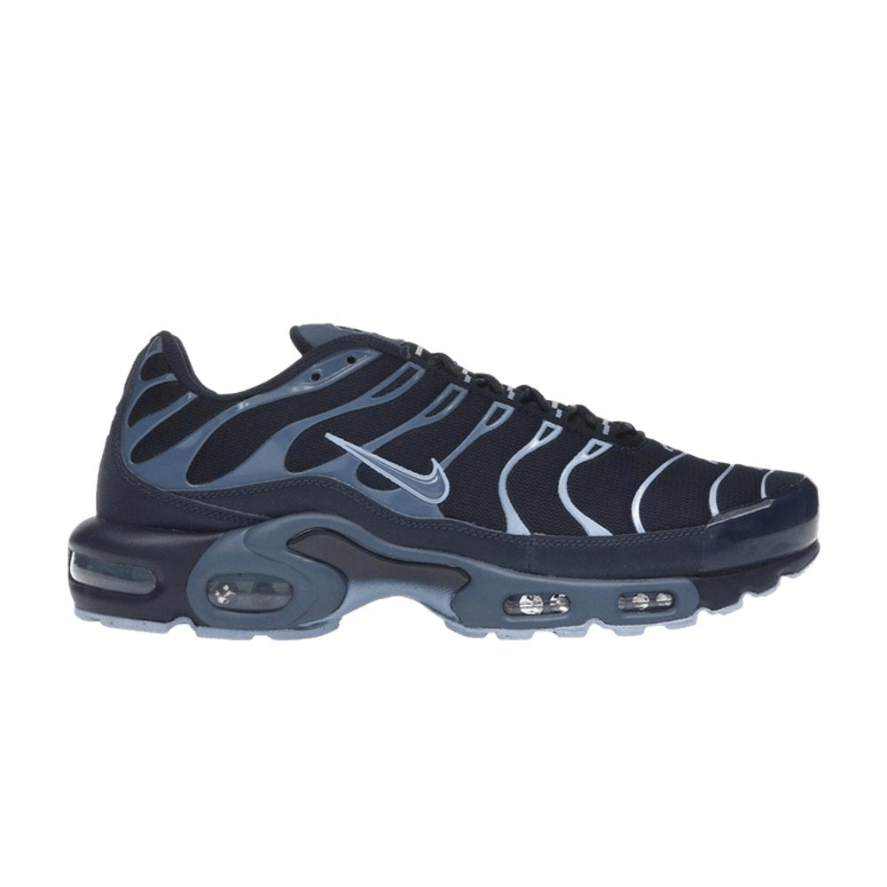 Nike Air Max Plus Obsidian Aluminum – hlavní pohled | Purekickz