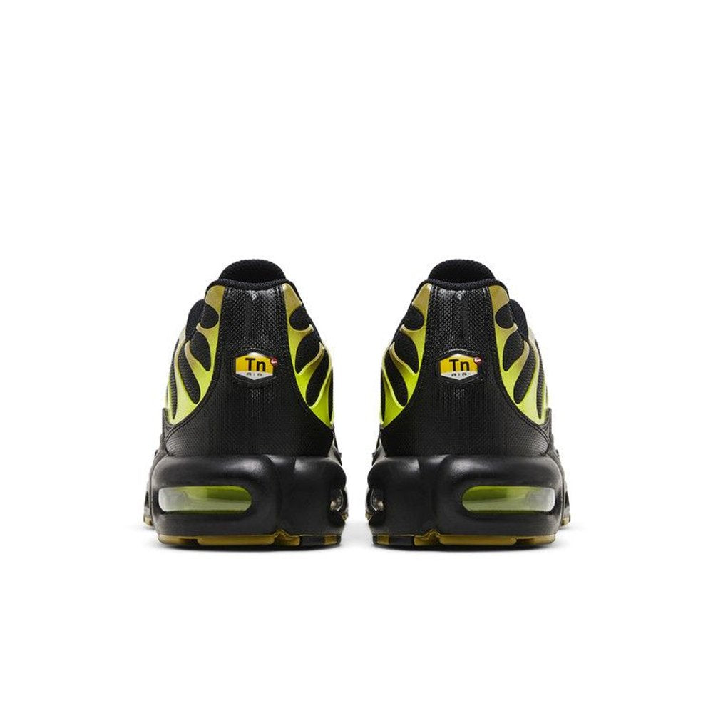 Nike Air Max Plus Pacific Moss – podrážka | Purekickz