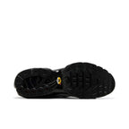 Nike Air Max Plus Tiempo Wolf Grey Black – zadní pohled | Purekickz