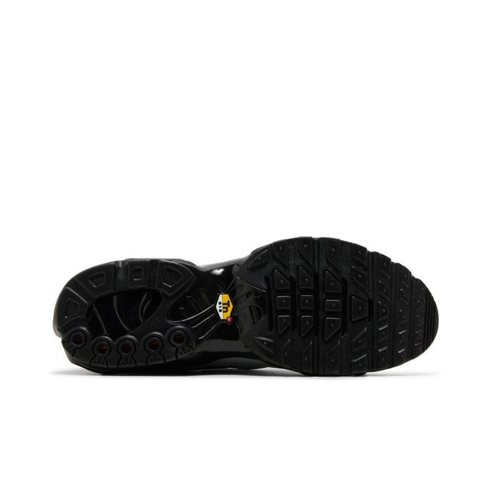 Nike Air Max Plus Tiempo Wolf Grey Black – zadní pohled | Purekickz