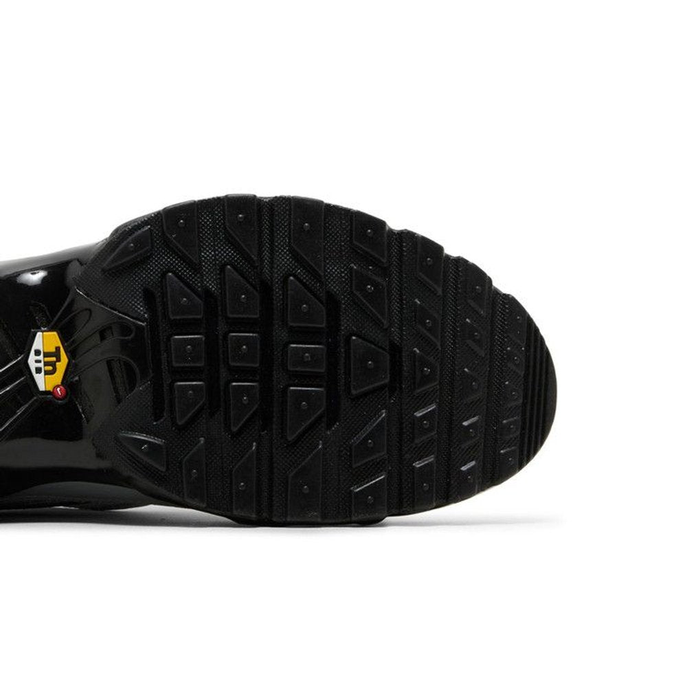 Nike Air Max Plus Tiempo Wolf Grey Black – pohled shora | Purekickz