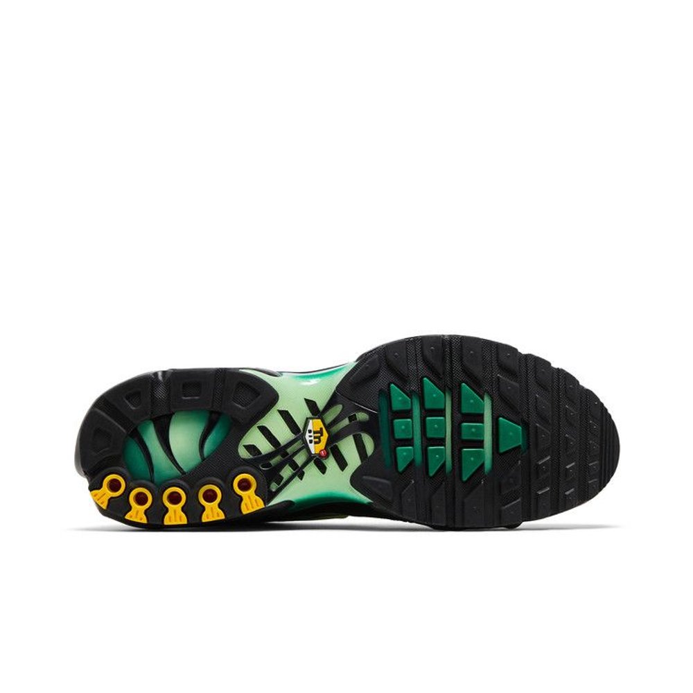 Nike Air Max Plus 'Vapor Green Gradient' – zadní pohled | Purekickz
