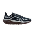 Nike Air Zoom Pegasus 41 Gore-Tex Dark Obsidian Anthracite Pure Platinum (W) – hlavní pohled | Purekickz