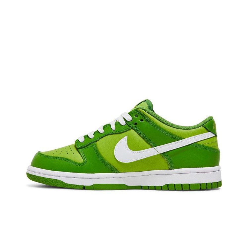 Nike Dunk Low Chlorophyll (GS) – hlavní pohled | Purekickz