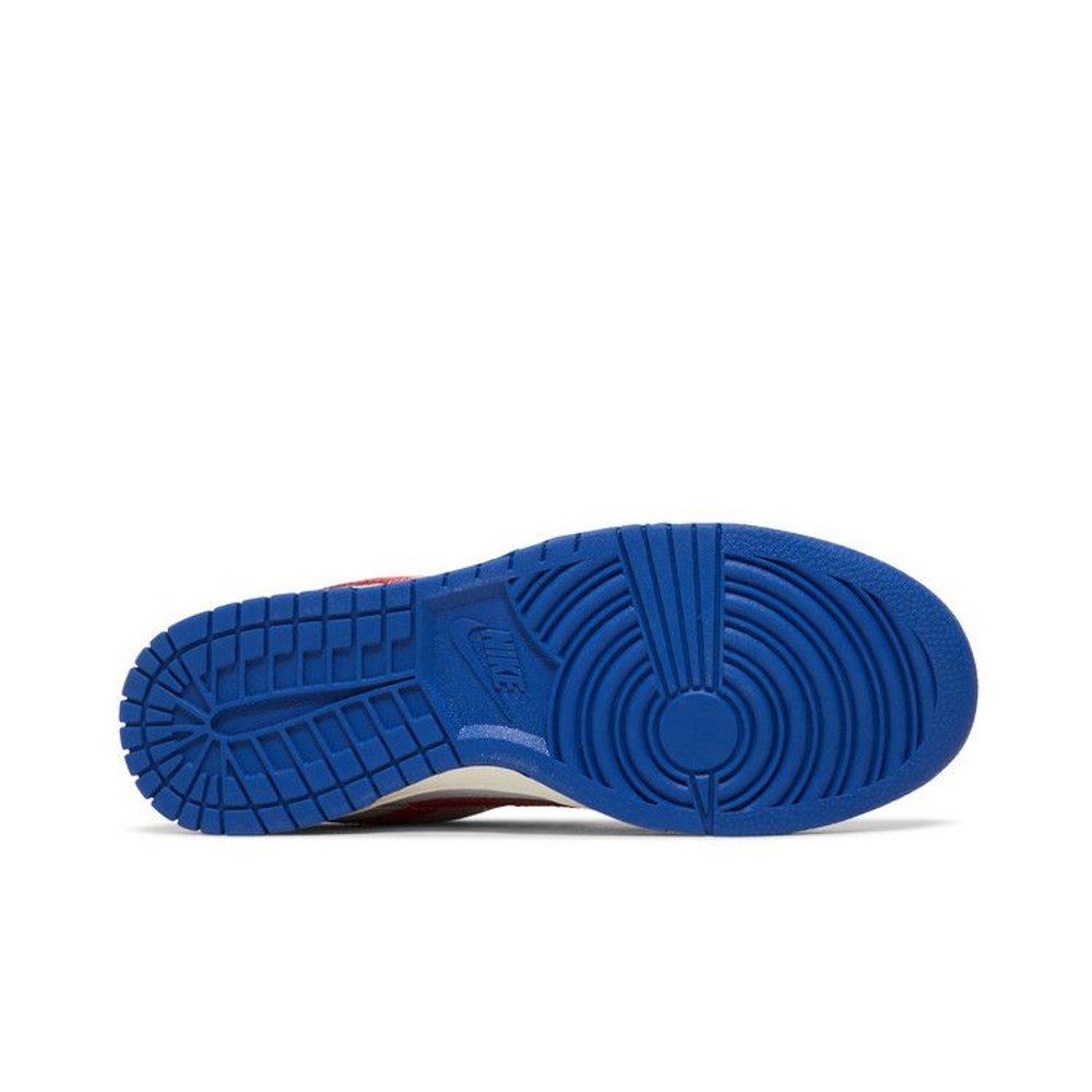 Nike Dunk Low Light Iron Ore Red Blue – zadní pohled | Purekickz