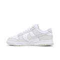Nike Dunk Low Photon Dust