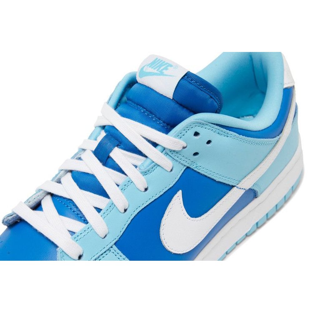 Nike Dunk Low Retro QS Argon (2022) – pohled 9 | Purekickz