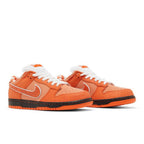 Nike SB Dunk Low Concepts Orange Lobster – lifestyle foto | Purekickz