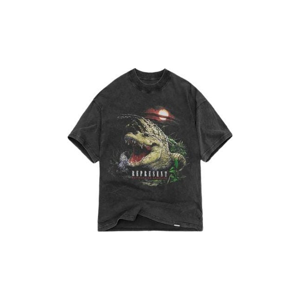 Represent Destructive Appetite T-Shirt – hlavní pohled | Purekickz