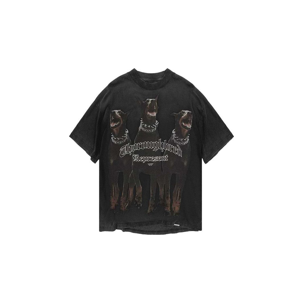 Represent Thoroughbred T-Shirt Vintage Black – hlavní pohled | Purekickz