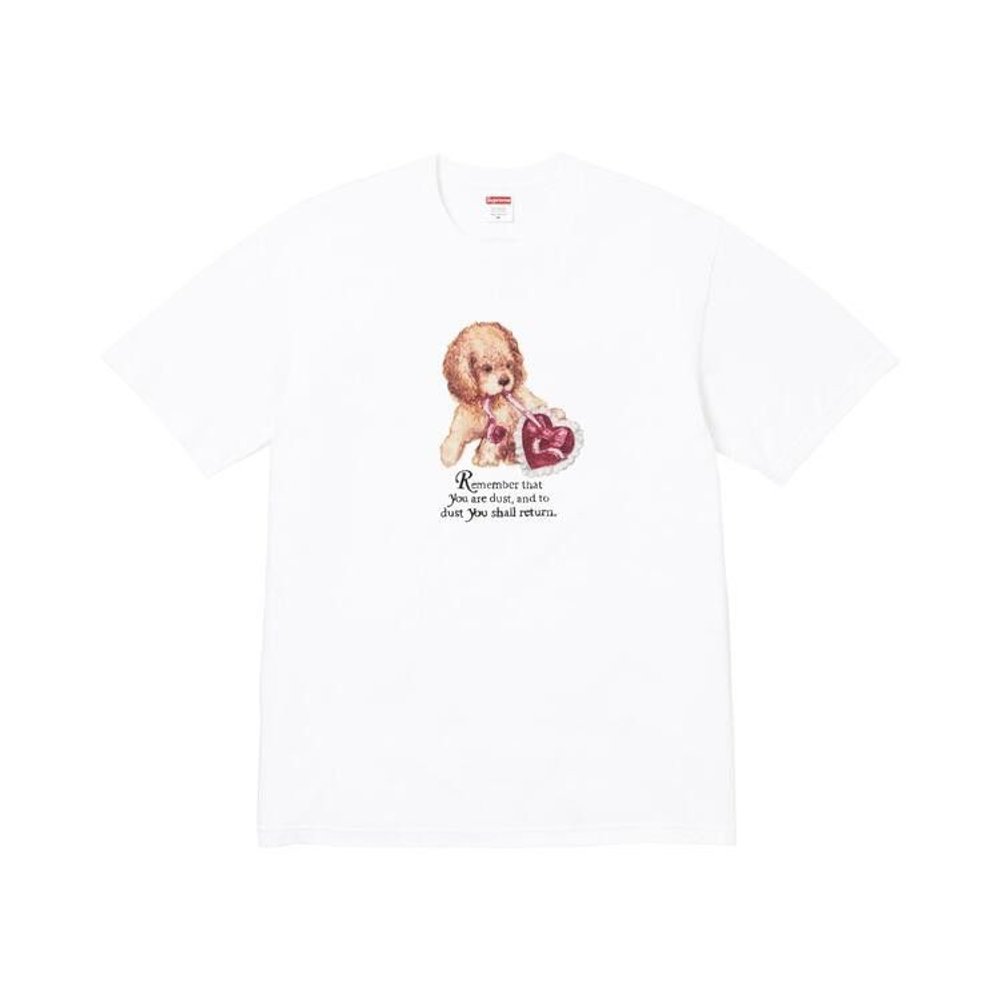 Supreme Dust Tee White