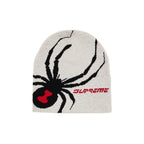 Supreme Spyder Beanie White – hlavní pohled | Purekickz