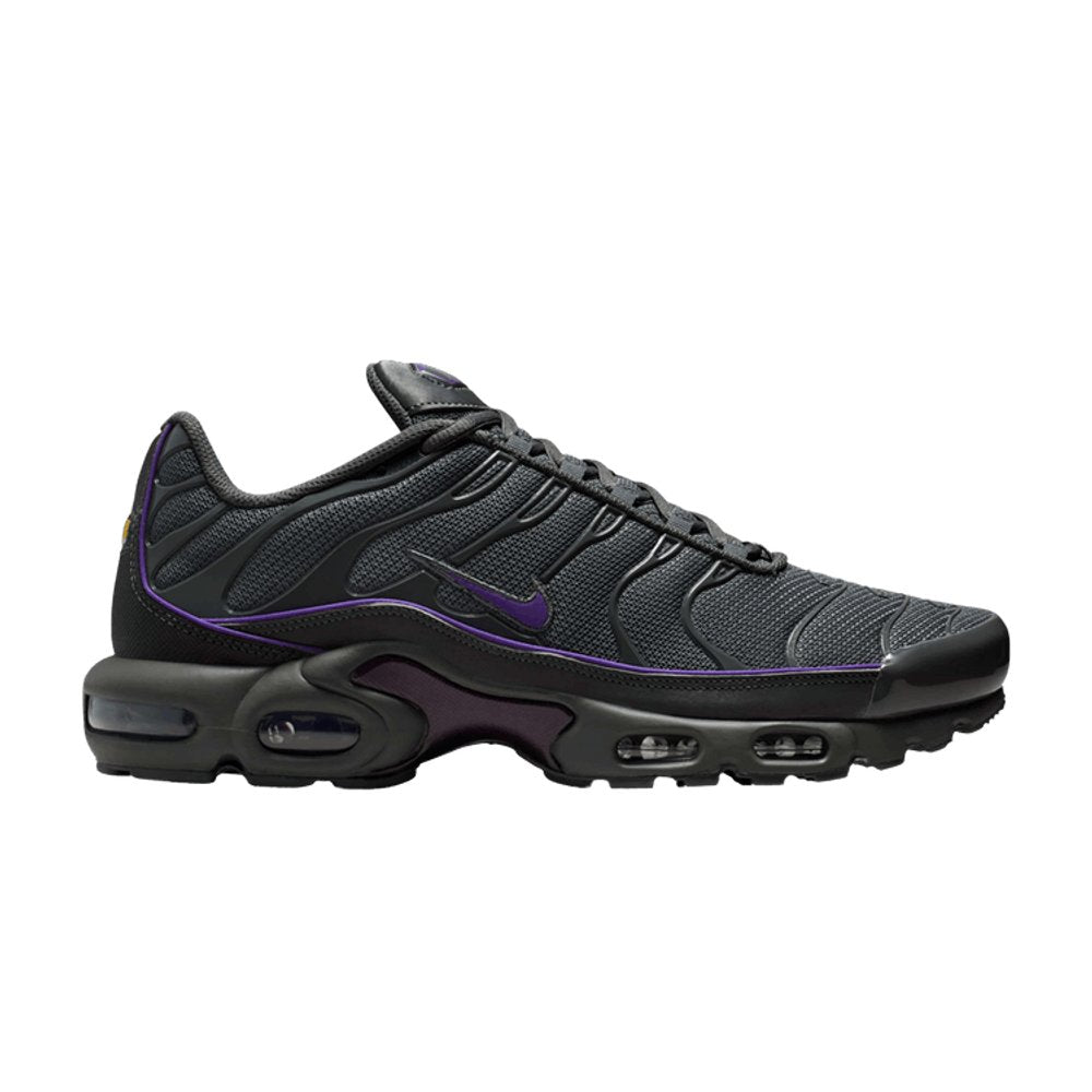 Nike Air Max Plus OG Iron Grey Wild Grape