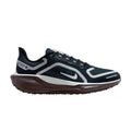 Nike Air Zoom Pegasus 41 Gore-Tex Dark Obsidian Anthracite Pure Platinum (W)