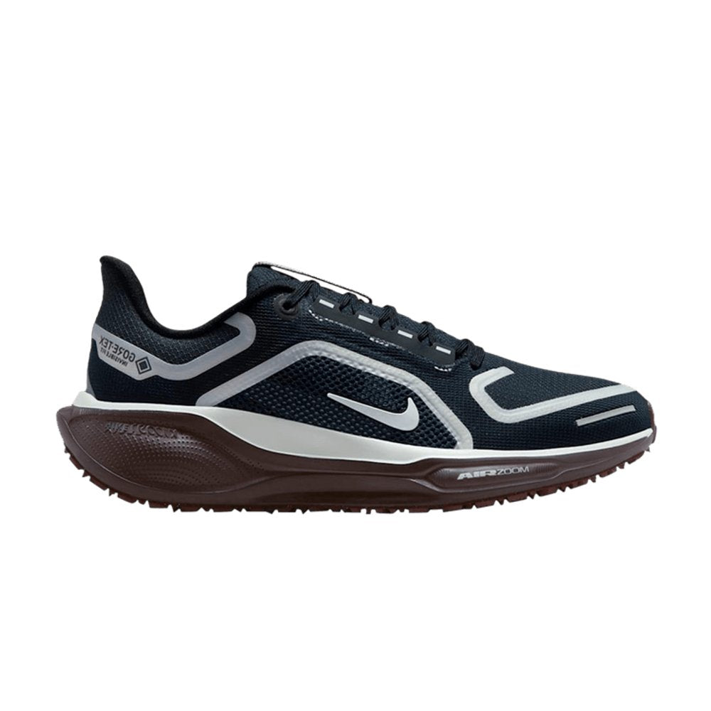 Nike Air Zoom Pegasus 41 Gore-Tex Dark Obsidian Anthracite Pure Platinum (W)