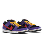 Nike SB Dunk Low ACG Terra